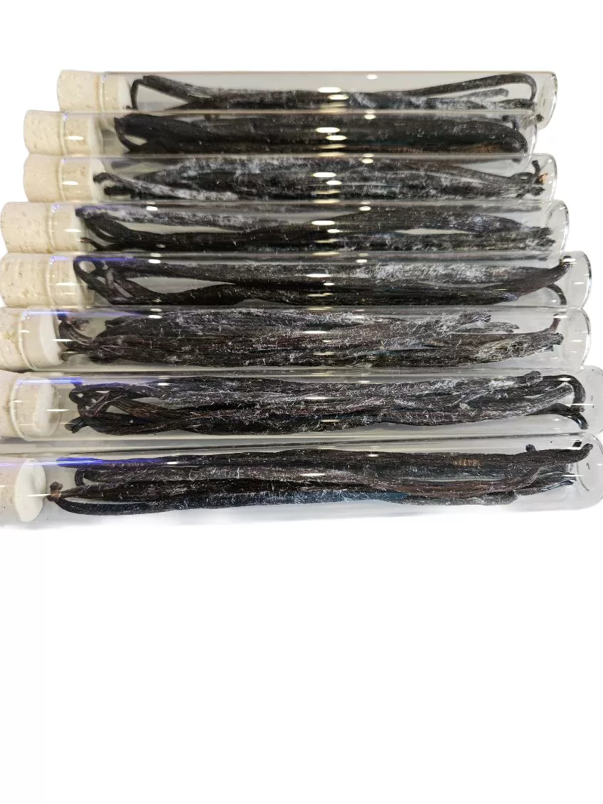 tubes en verre de vanille Bourbon givré